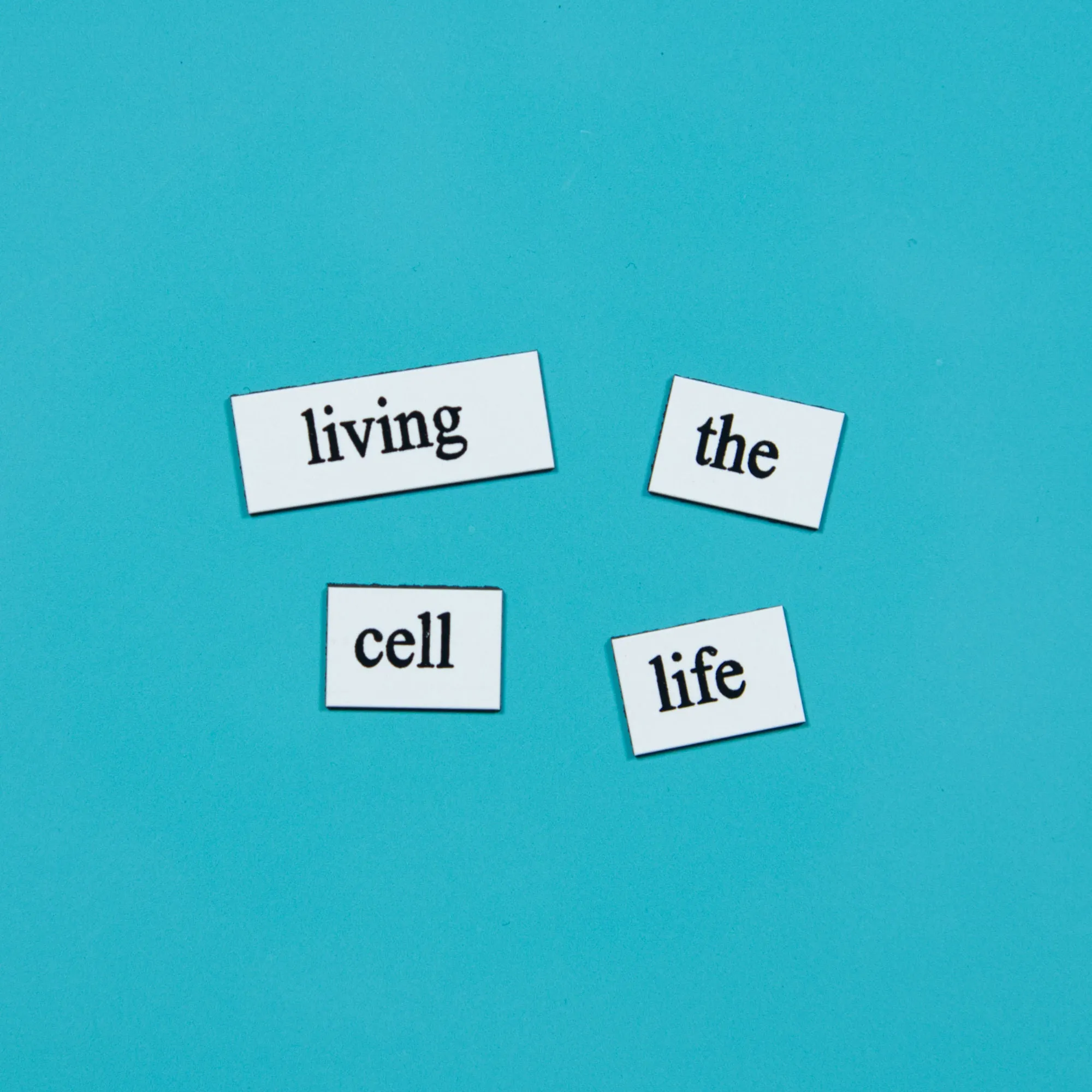 Biology Word Magnets