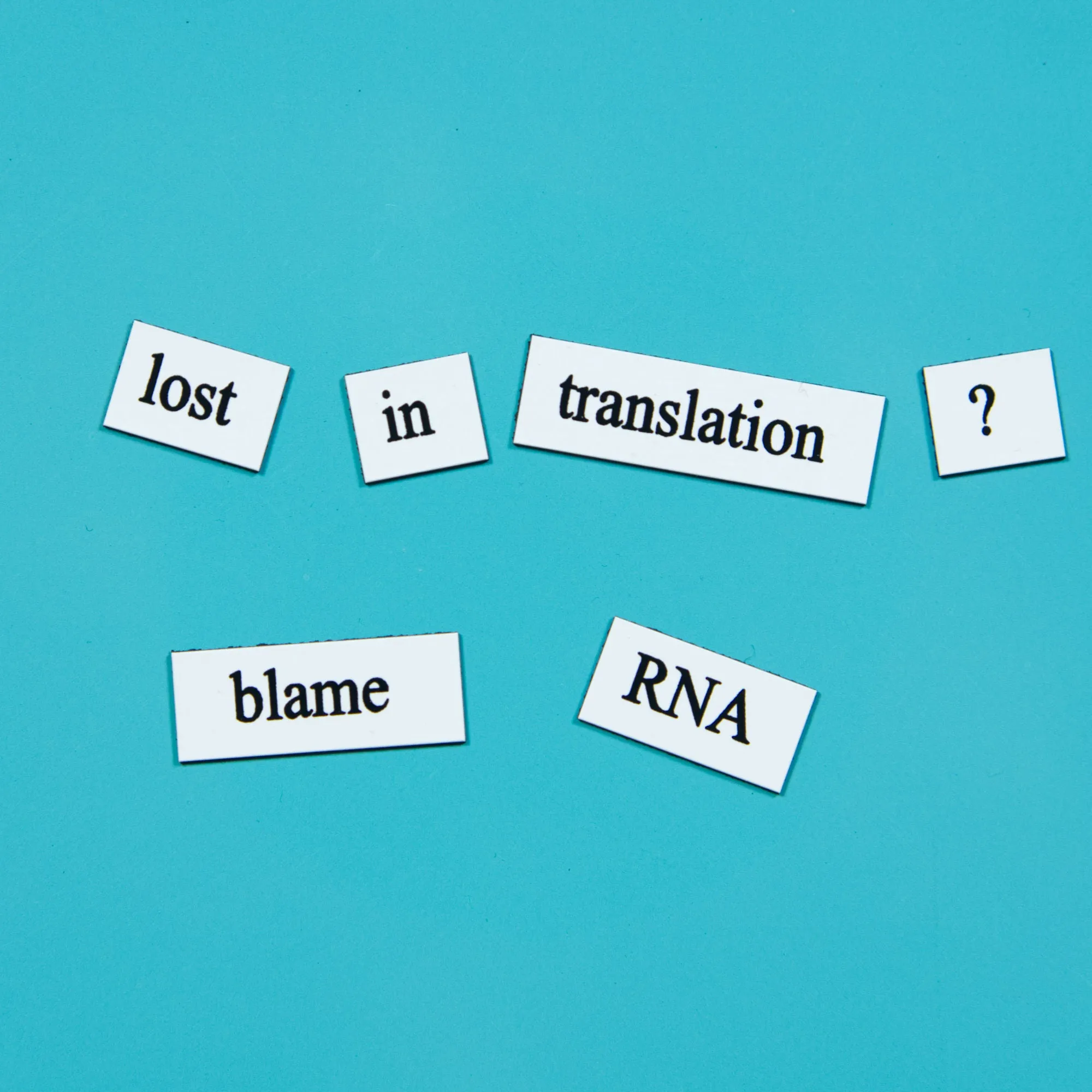 Biology Word Magnets
