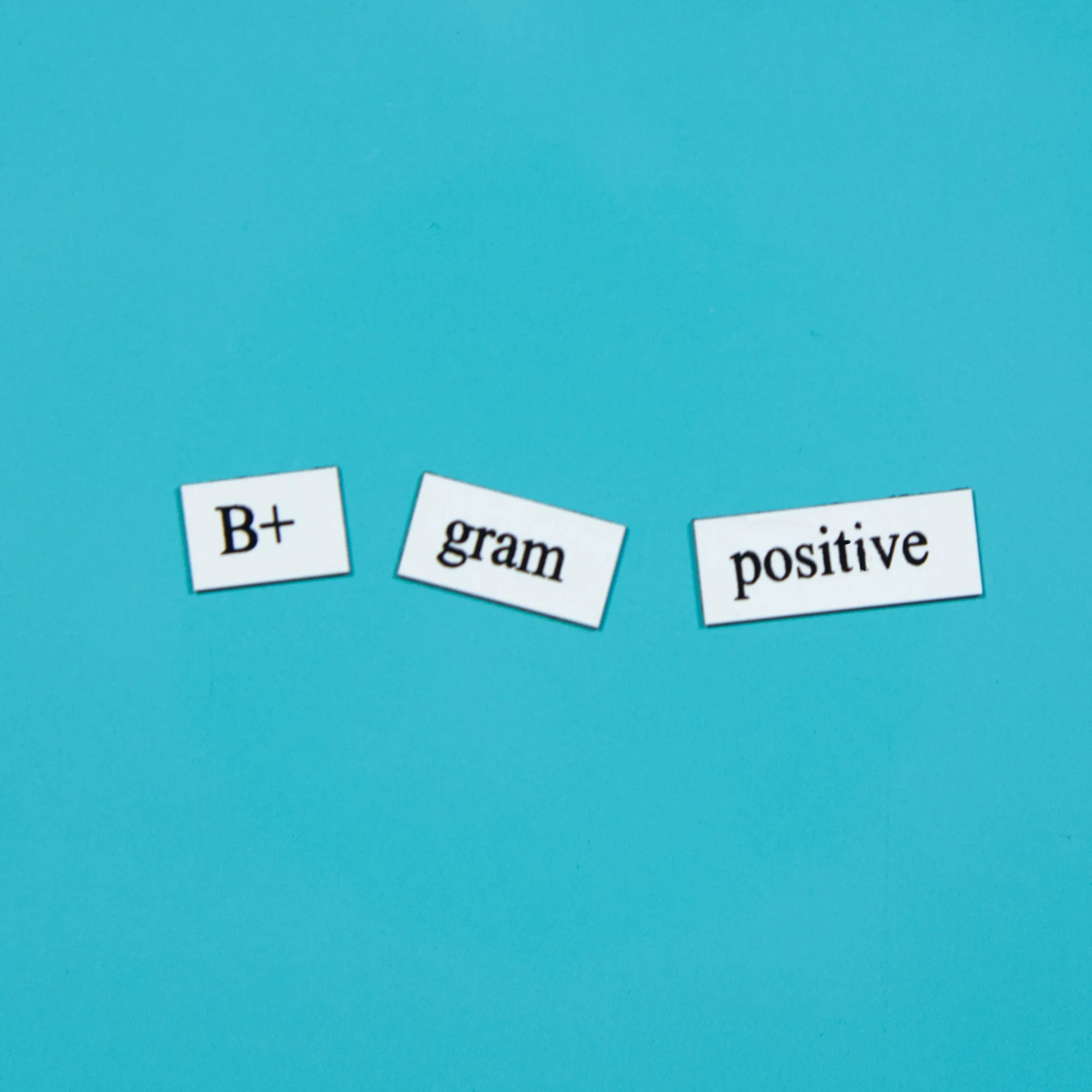 Biology Word Magnets