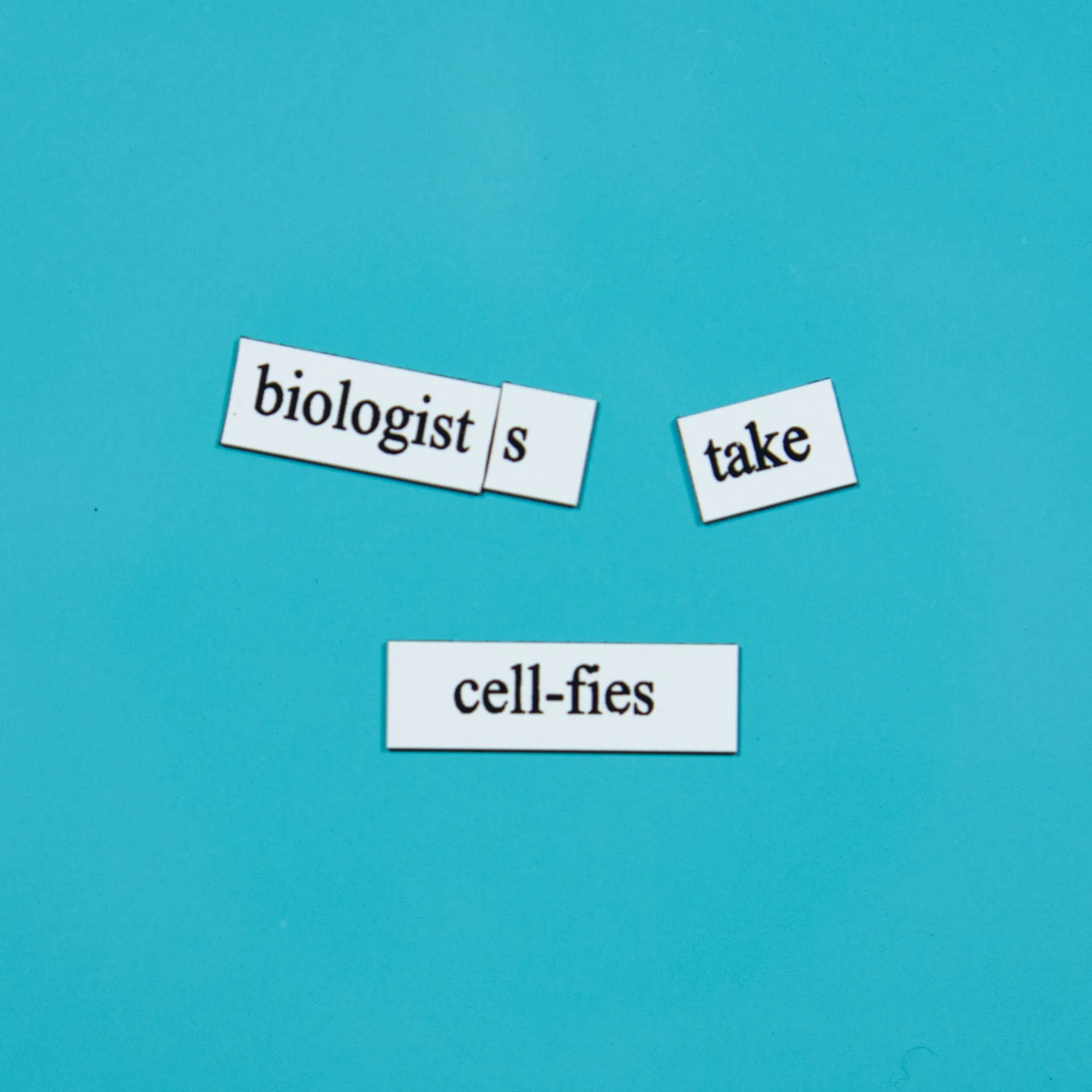 Biology Word Magnets