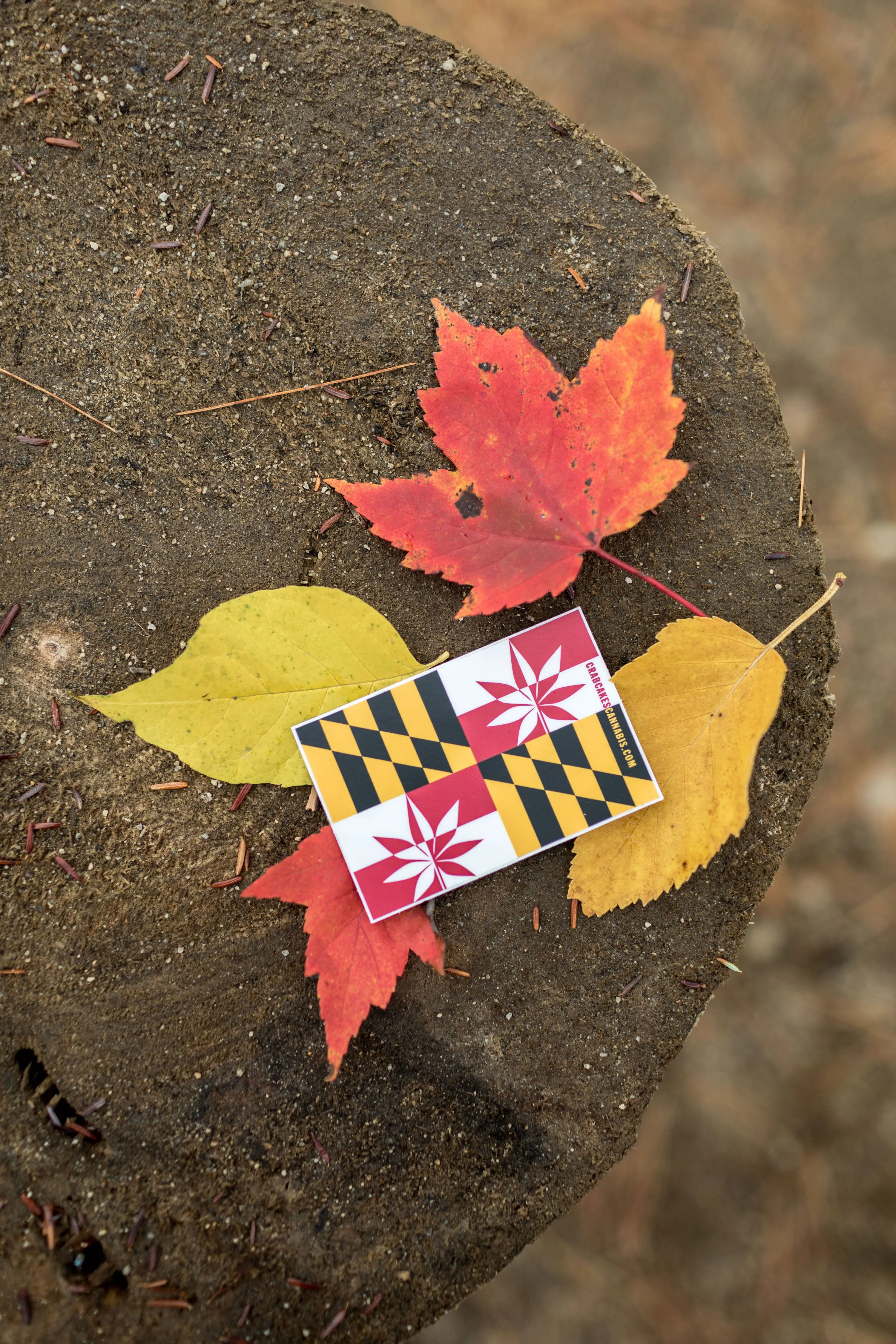 C&C Flag Sticker