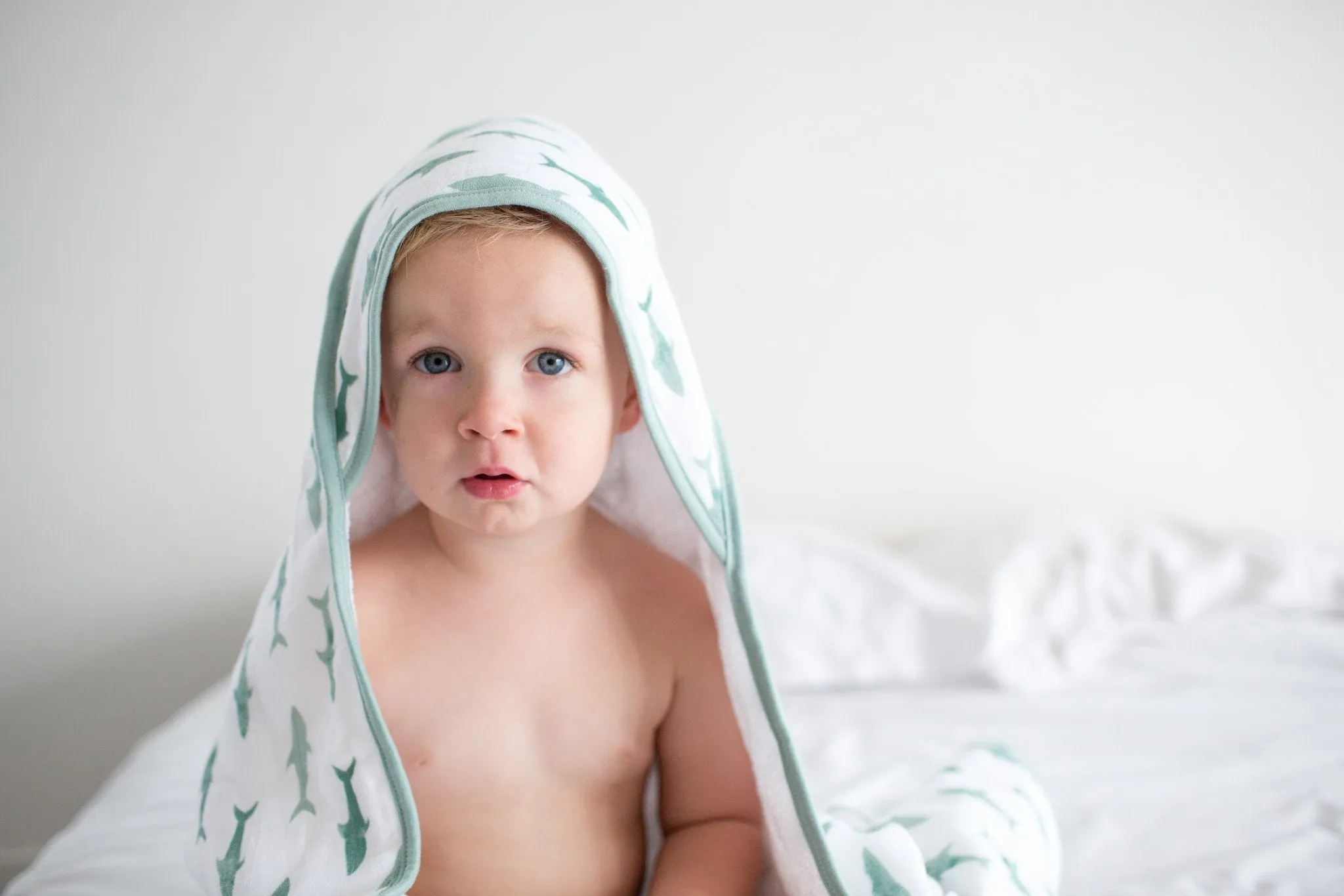 Copper Pearl Premium Knit Hooded Towel | Pacific