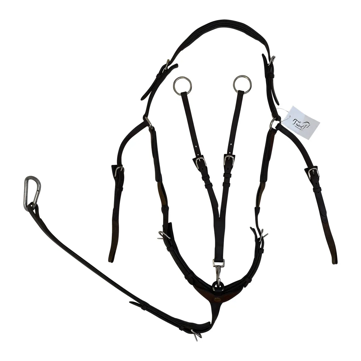 Kavalkade Everyday Oiled Leather 3-Point Breastplate in Brown - Full